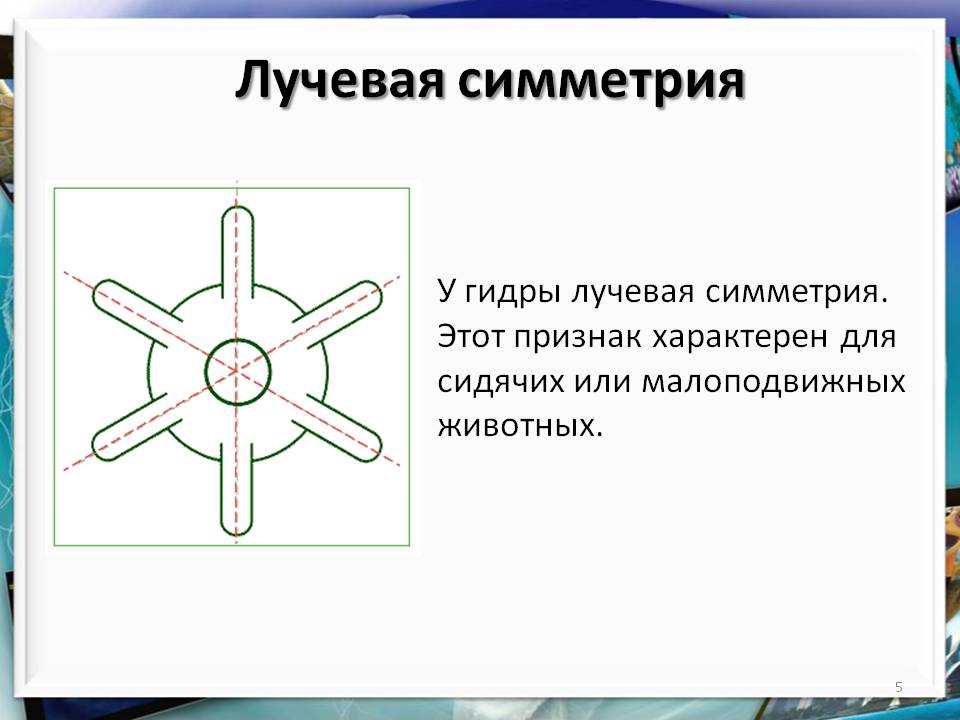 Кракен официальный сайт